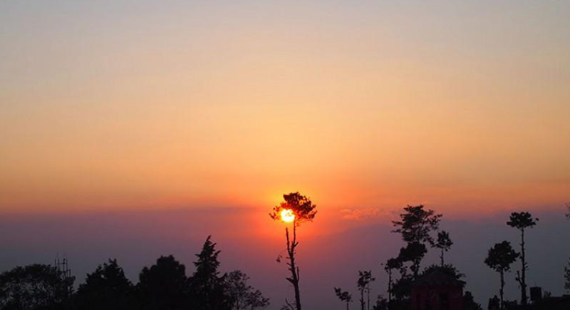 image gallery